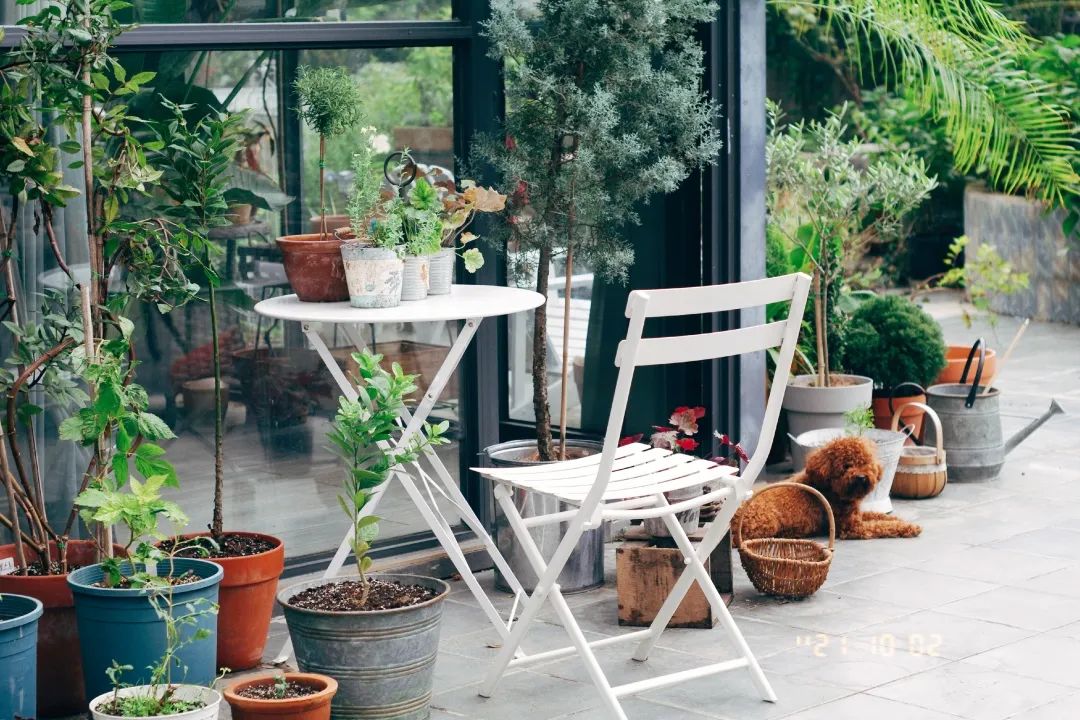 △花园一角，小雨在花园放置了多处桌椅，用来享受花园时光。